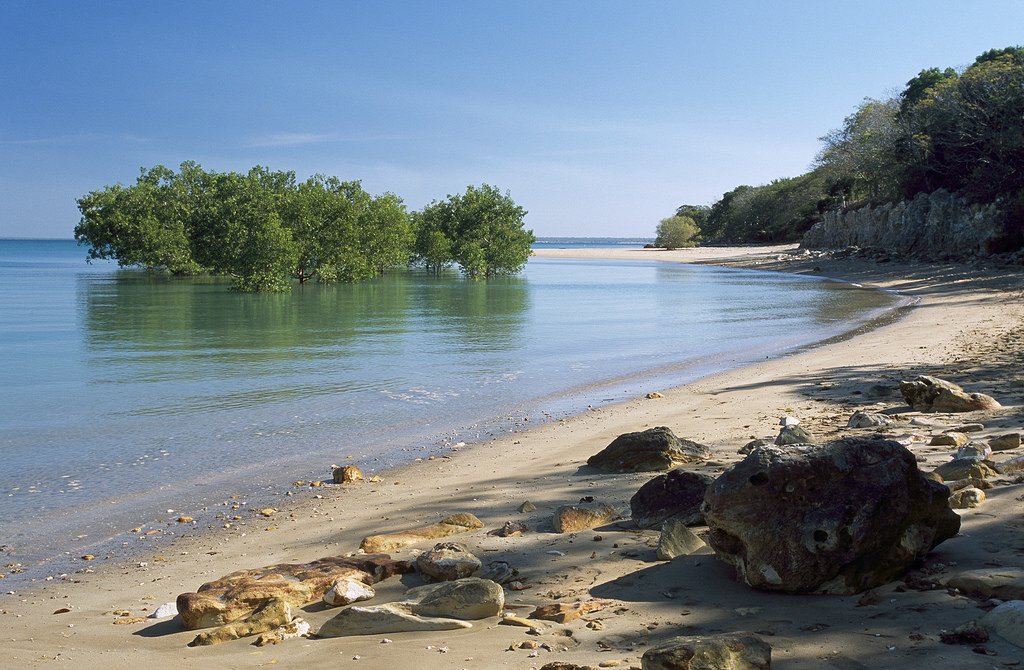 East Point, Northern Territory - Australia's natural beauty reminds us that we need to #KeepWetlands in celebration of #WorldWetlandsDay