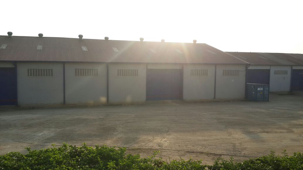 Pearsonpropert1's tweet photo. Ware House Seated on 400 Decimals located in Bugolobi For sale. Flats are involved in the package. Call Us on +256 200 902421/039-2003304 now, Or Visit us at our Offices on Tirupati Mazima Mall, Kabalagala or logon https://t.co/Kpbm8Agw51 https://t.co/dNG1iRMY10