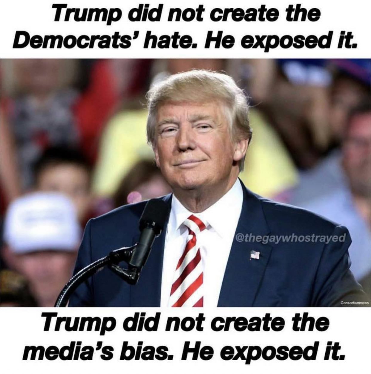 PatriotGirl77 on Twitter: "Trump did not create the Democrat's hate. He  exposed it. Trump did not create the media's bias. He exposed it!  #LuvMyPresident #Trump2020Landslide #DemocratsSpreadHate…  <a href=