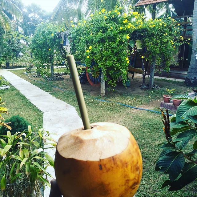 bellanilaveli's tweet photo. enjoying a morning #kingcoconut with this new #bamboo straw ❤
#noplasticstraws #sustainability #leoscafe #bellanilavelibeach #ecofriendly https://t.co/E7o4KiEAGR