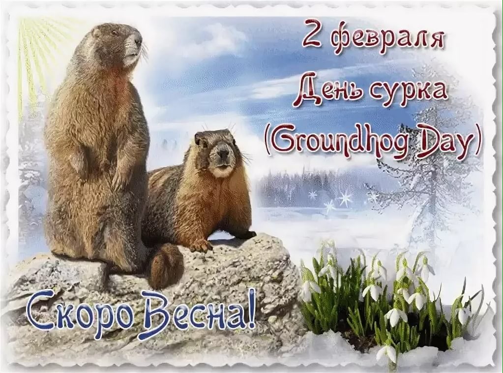 Рождение открытки, все открытки день сурка