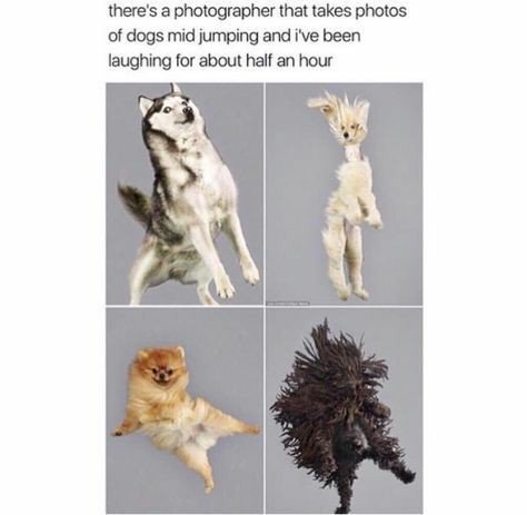 New photography goals 😍