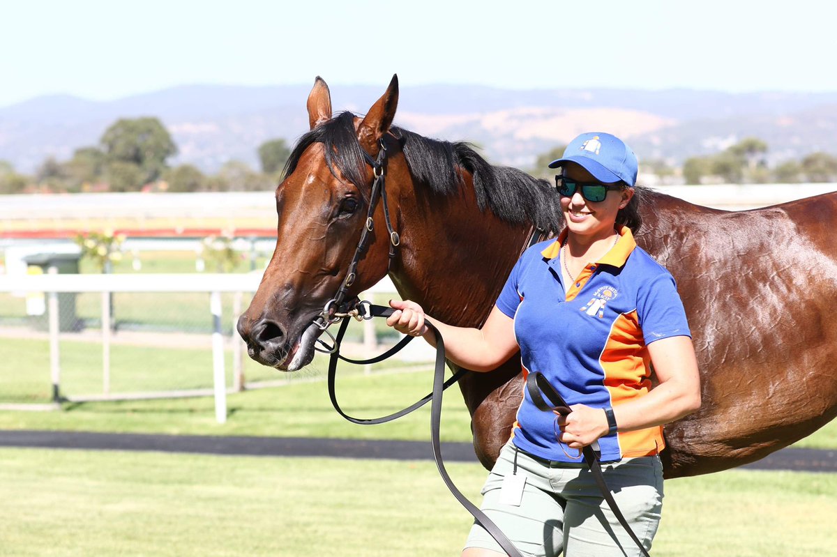 mcevoymitchell's tweet image. LYNCH MOB #LastToFirst again at Morphettville 👌
Confident &amp;amp; patient ride Chris Caserta.
Tony noted post race that he is from the family of Fields Of Omagh... #coxplatedreaming #slightlyambitious