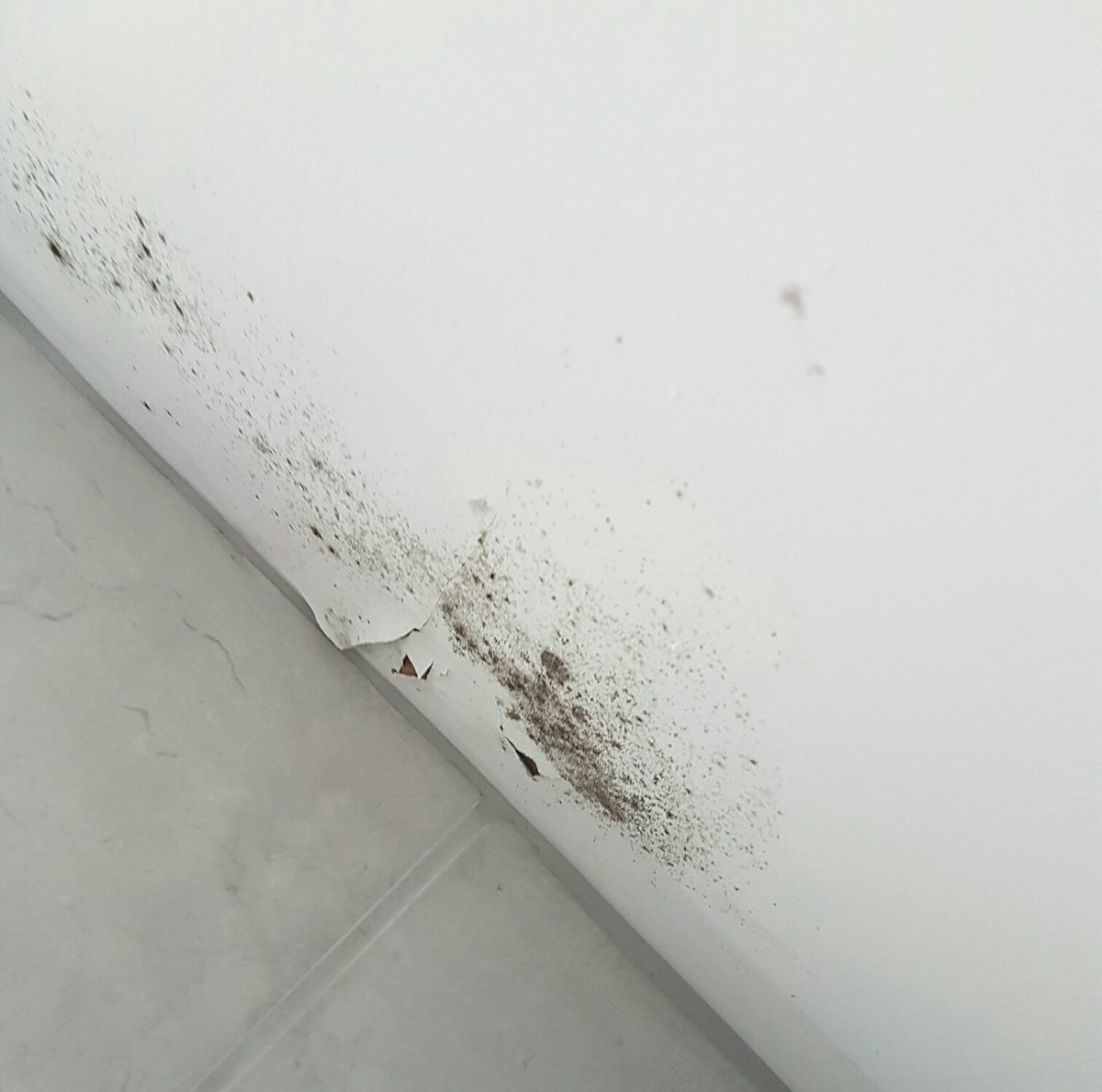 Mummy Fever On Twitter How To Remove Household Mould Https T