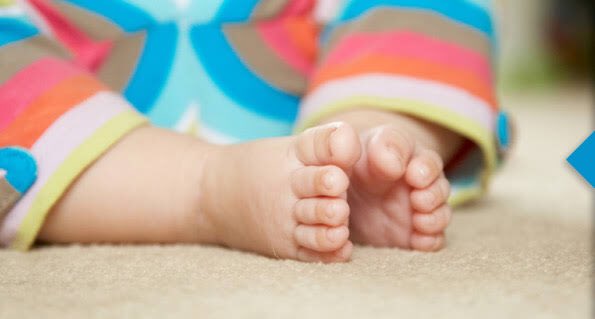 Enez Hali Yikama Carpet Cleaning Turkey Ankara Buket Sok 76a Yandex Maps