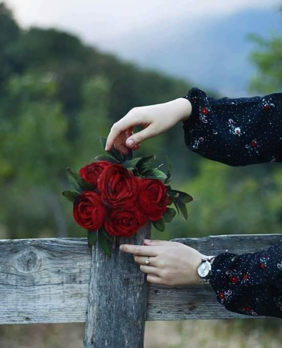 اللهم عوضا من عندك يجبر القلب وينعش الروح🍃🍀🌺