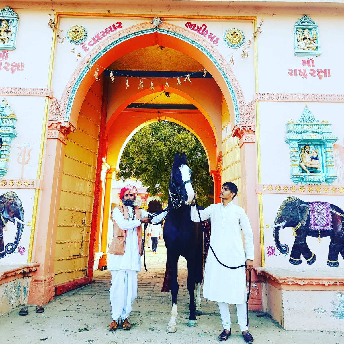 🐴Devratn દેવરત્ન देवरत्न of Devdarbar Math 🚩

 #rudra #mansa #gandhinagar #devratn #devdarbar #devraj #sundar #paramhans #deodar #munjal #marwari #horse #ashwa #gujarathorses #banaskatha