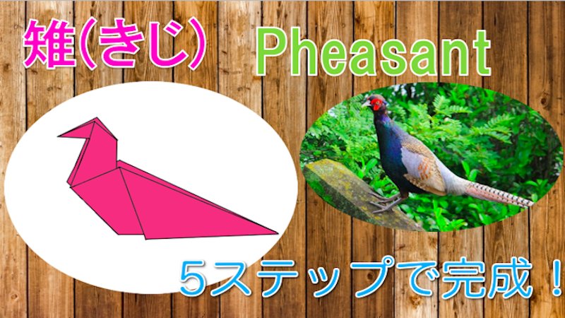 たのしい折り紙 A Twitter 桃太郎に登場 しっぽが長いのが特徴の鳥 たった5ステップで簡単なので保育園 幼稚園のお子さんにもおすすめ キジ の折り方の動画はこちら T Co G1llncglp2 折り紙 おりがみ Origami たのしい折り紙 鳥 T Co たのしい折り紙 A Twitter 桃太郎に登場 しっぽが長いのが特徴の鳥 たった5ステップで簡単なので保育園 幼稚園のお子さんにもおすすめ キジ の折り方の動画はこちら T Co G1llncglp2 折り紙 おりがみ Origami たのしい折り紙 鳥 T Co