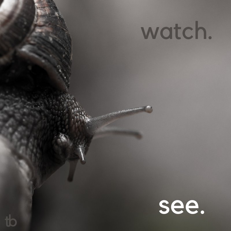 tanyabeevisual's tweet photo. #watch #see #tanyabee https://t.co/T7CyXYLQoD