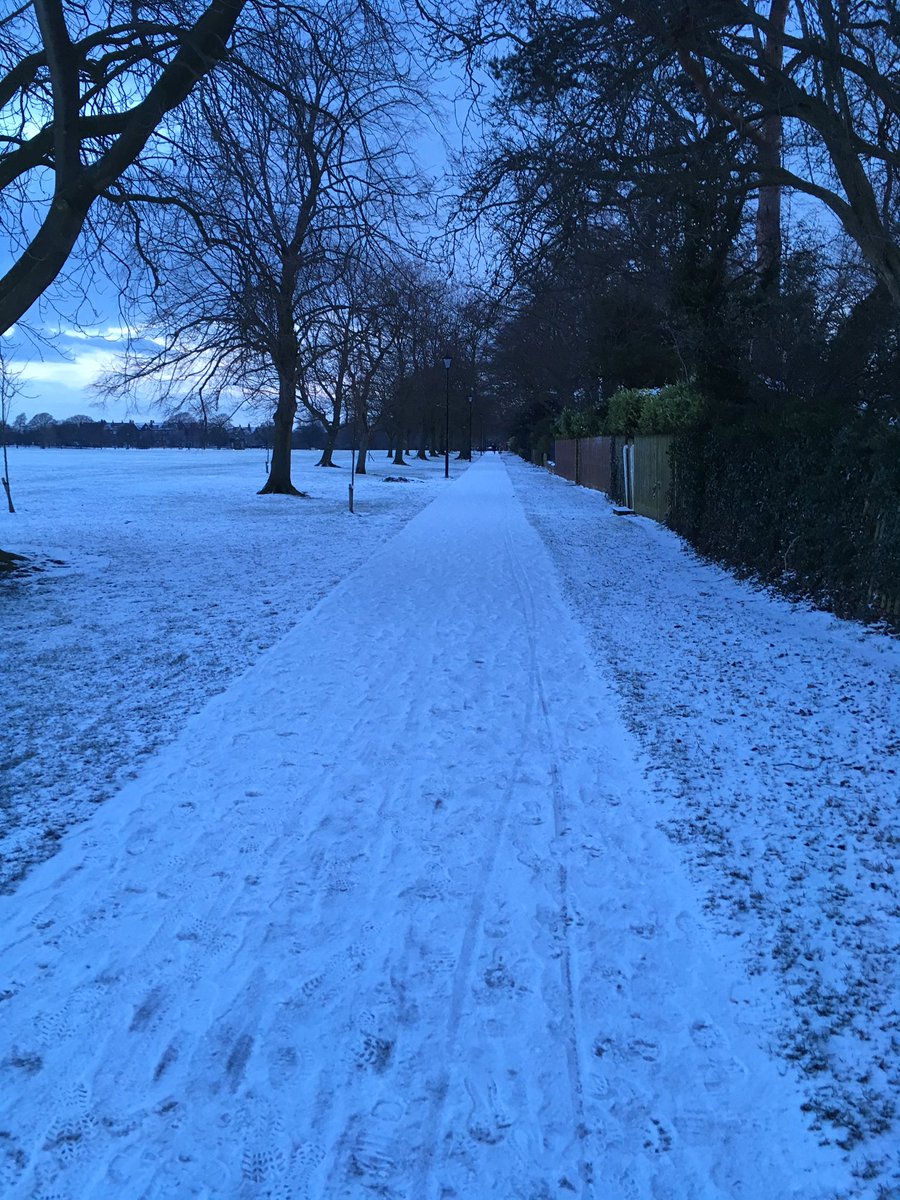 Harrogate parkrun tweet media