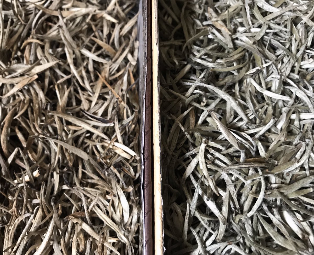 TheCeylonTea's tweet photo. Ceylon Golden Tips vs Silver Tips ☕️ 

#ceylontea #whitetea #silvertips #goldentips #organictea #luxurytea #raretea #kandytea #srilankantea 

https://t.co/KL9H933Bhm  🛒 https://t.co/MPXa5Wq7sU