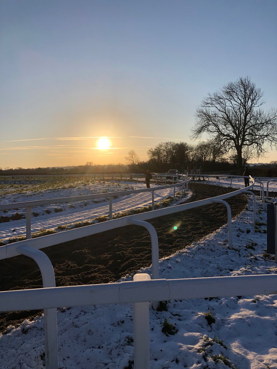 PFNicholls's tweet image. Sunrise in Ditcheat with Clifford observing 1st lot