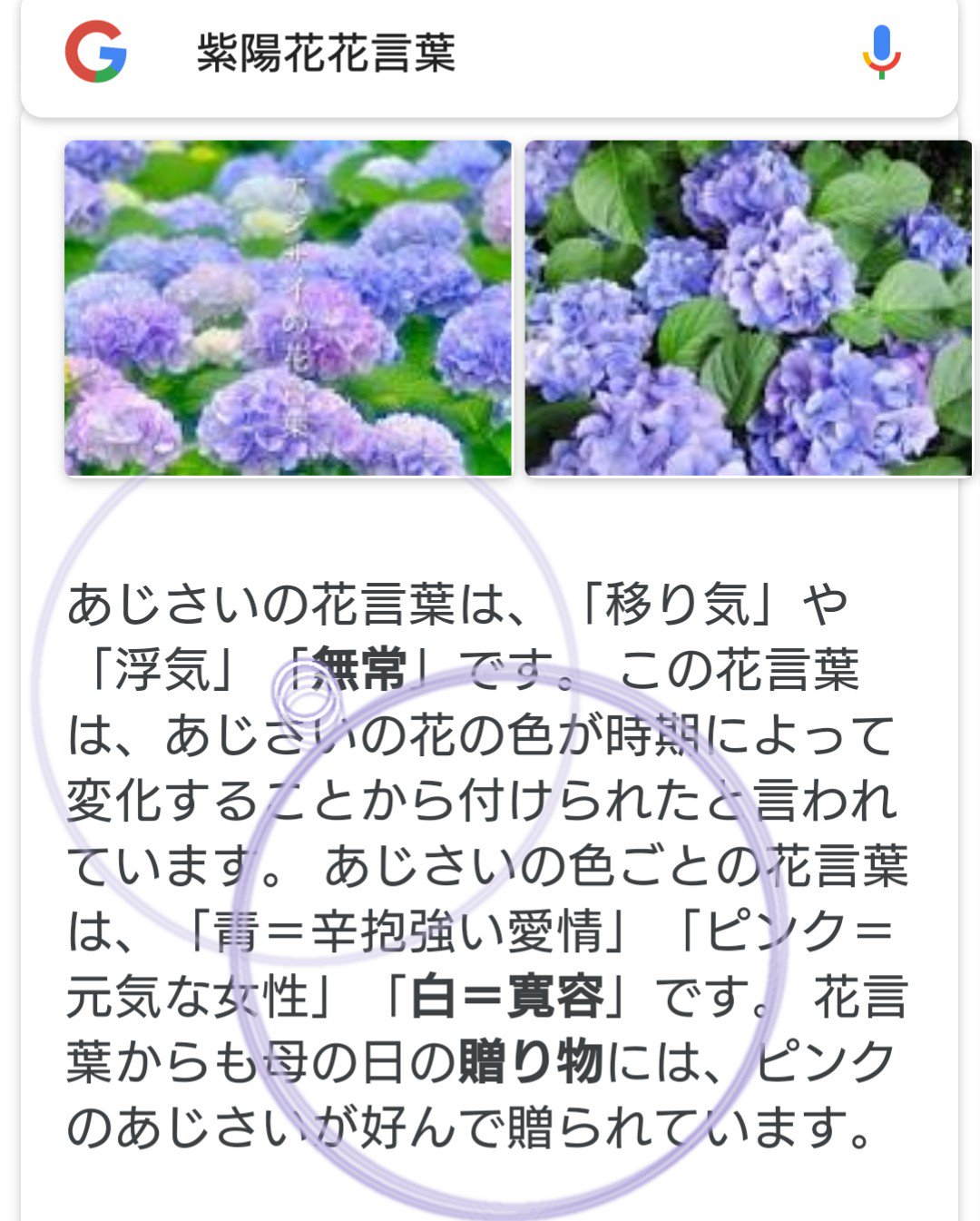 まこっちゃん 紫陽花の花言葉を調べた 私は青が良いな Hyde様 和歌山観光大使 T Co Qyckcodo8a Twitter