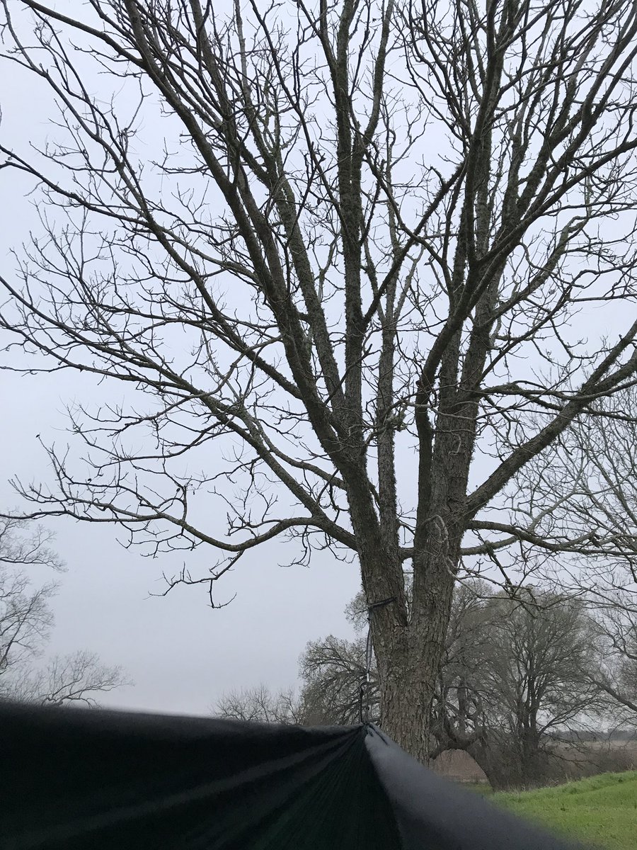 ickerso's tweet photo. Good morning, Bastrop!  It’s gonn be a great day. https://t.co/ReOC7aB5n1