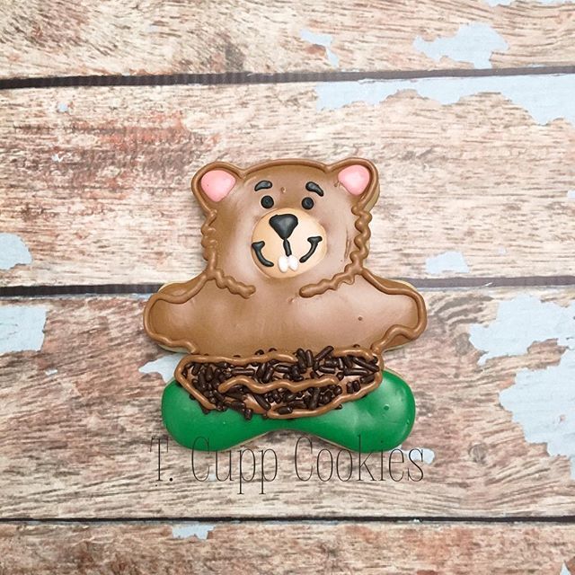 TCuppCookies's tweet photo. You go, Groundhog! #groundhogday #tcuppcookies https://t.co/ucdbcqJWkw https://t.co/RfFA0nKLvU