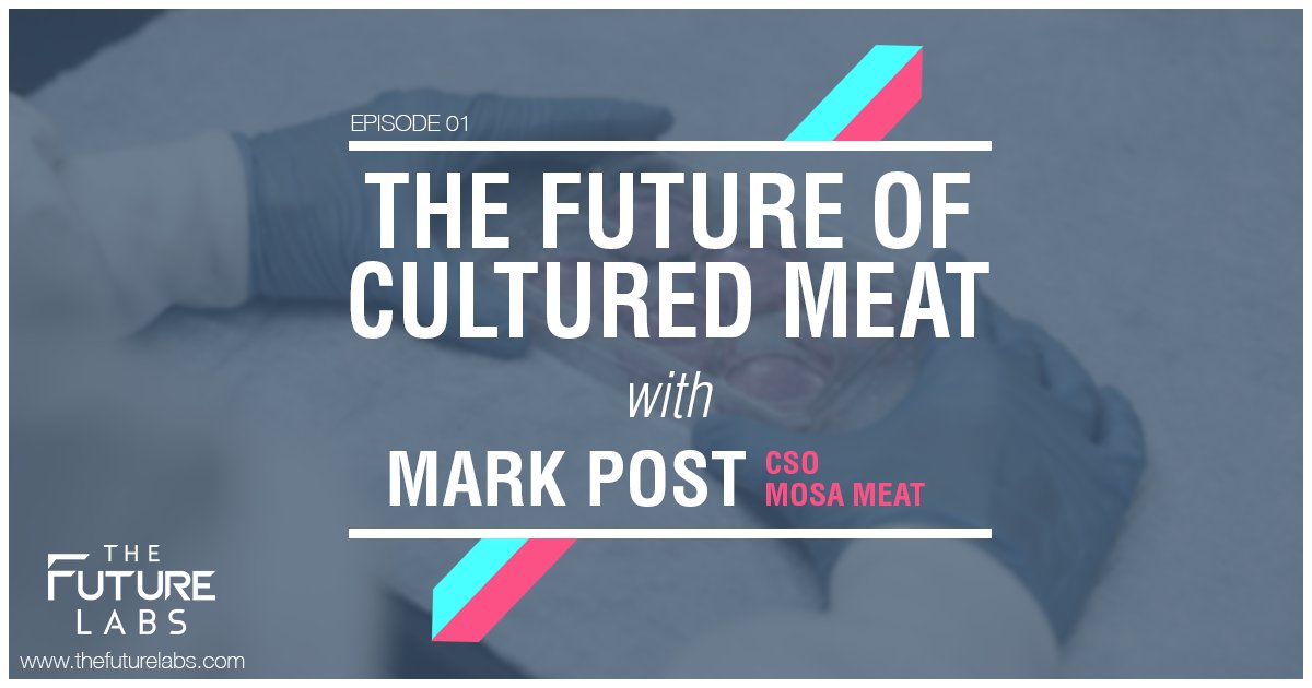 futurelabspod's tweet photo. Have you ever wondered about the Future of Cultured Meat? 
Listen to this week's episode with Mark Post from @mosa_meat
#applepodcasts #foodinnovation #innovation #tech #foodtech 

🎙️https://t.co/d1RtZtNhFM
🎙️ https://t.co/062FNuA1rh
📖 https://t.co/EnqecsQ49p https://t.co/82RSLwe8Zy