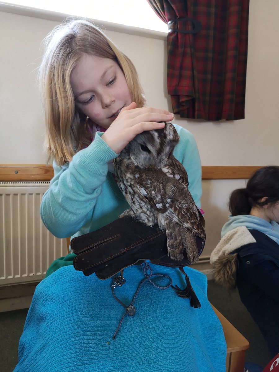 Really interesting owl talk #SparkleAndIce  <a href="/GirlguidingBath/">Girlguiding Bath</a>