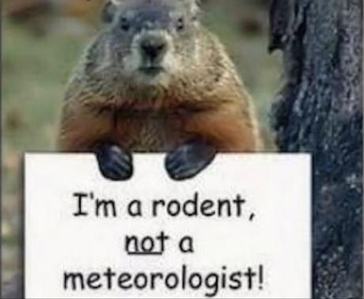 newyorkpsychic's tweet image. #GroundhogDay BREAKING NEWS Punxsutawney Phil uses a #magiceightball to make his predictions Now everyone knows