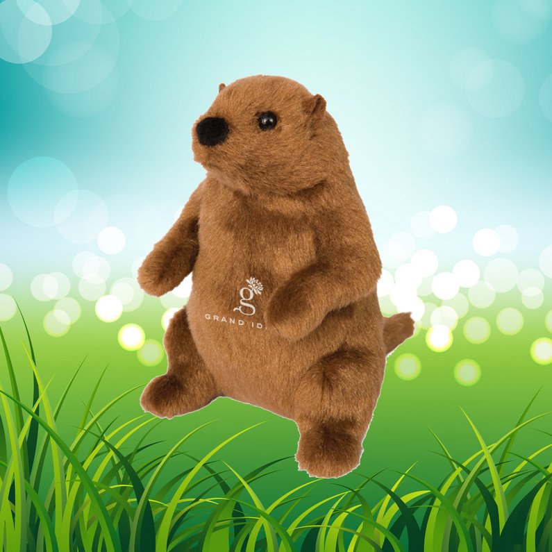 GRANDIDEAS's tweet image. Happy National Groundhog Day!

Our groundhog wishes for crystal clear, sunny skies and an early Spring in 2019! 🌸

#promotionalproducts