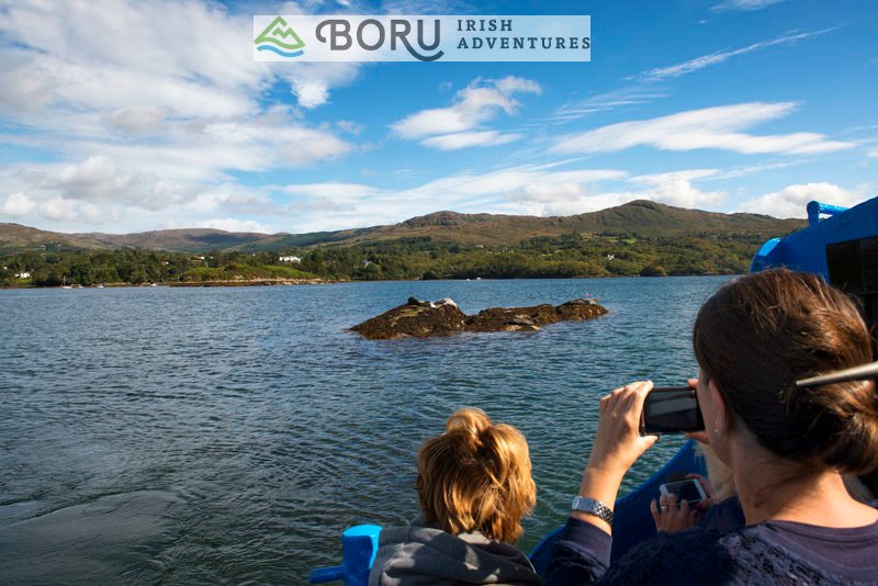 Reflections of the Beara Peninsula

                      boruadventuresireland.ie

#Ireland #discoverireland #adventureireland #ComeToireland #VacationInIreland #VisitIreland #HolidaysInIreland #TravelinIreland #WildAthlanticWay