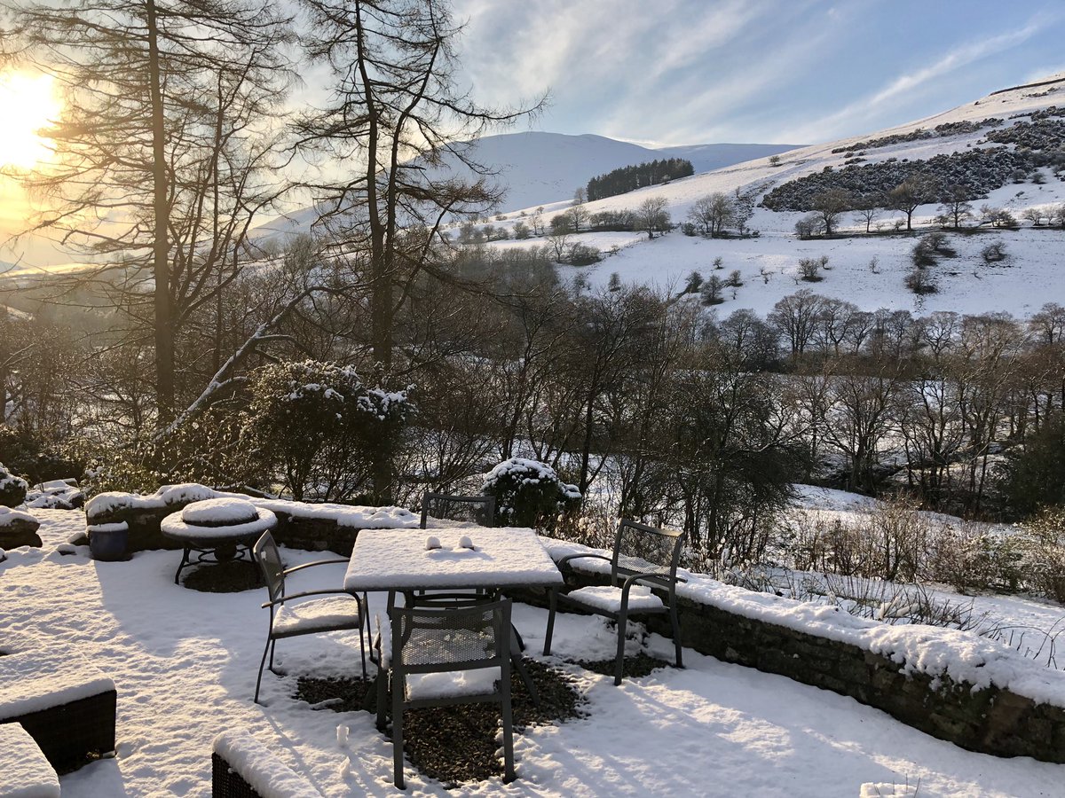 The garden is looking beautiful with this blanket of snow #winterbreaks