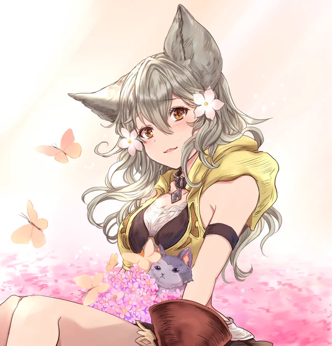 センちゃん?猫ちゃん可愛すぎて!コテツちゃんにしました! 
