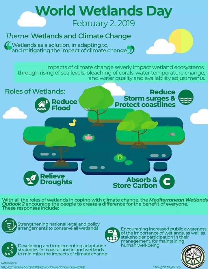 Wetlands play important roles in our environment. As we celebrate its special day, here are some good info bites to make us realize its importance and actions we can take to protect this ecosystem. 💚💚💚

#KeepWetlands
#TakeTheChallenge | ECOSS Orie | Feb 7 | NCAS Gal 1 & 2
