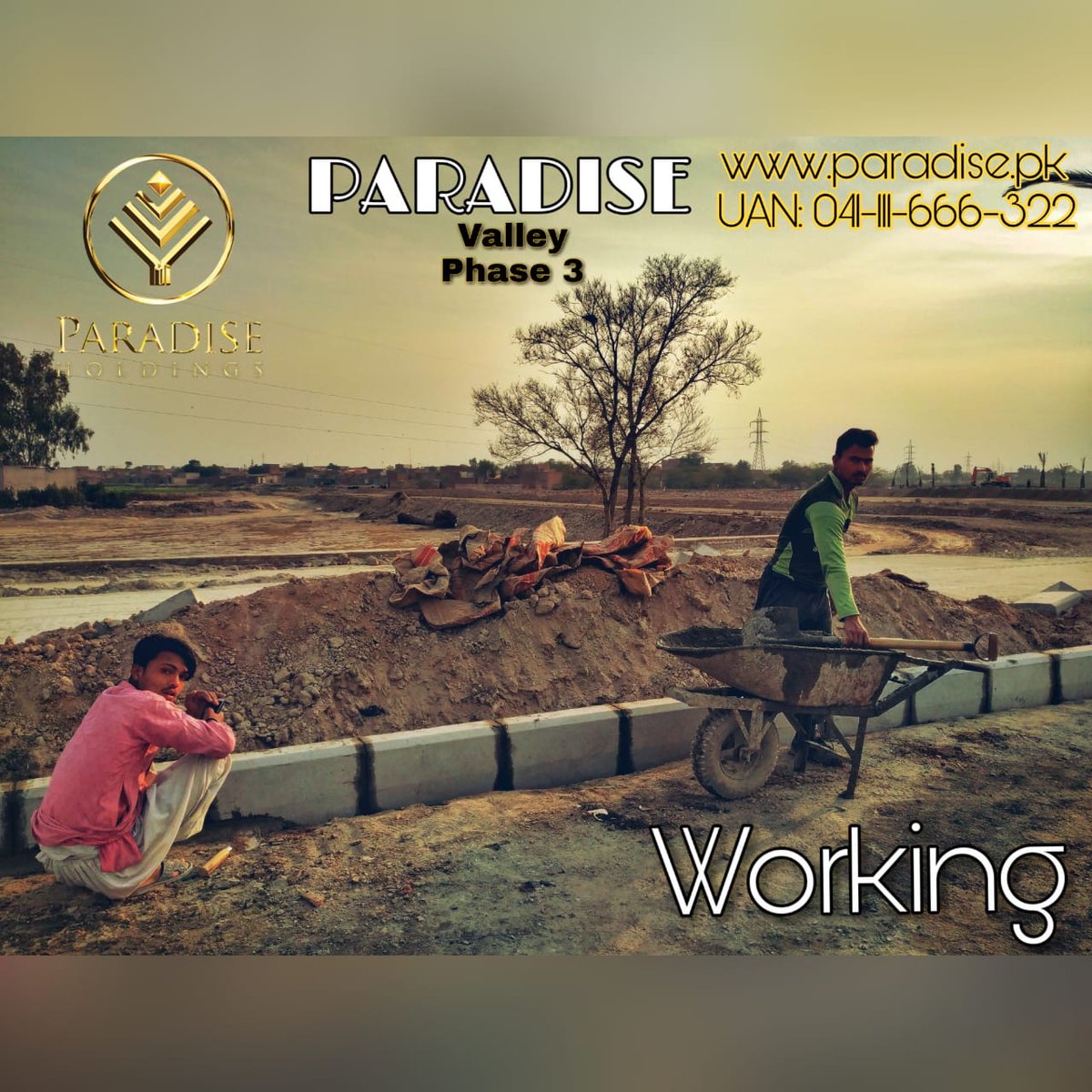 ParadiseHoldings tweet media