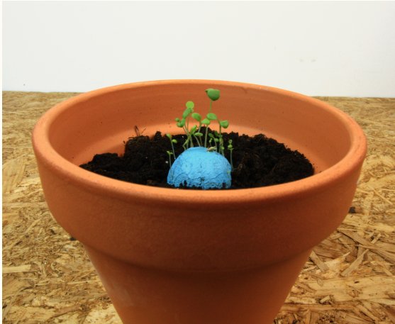 Boooooombaaa 👉 así son las de semillas de <a href="/resetea_/">resetea_</a>, una idea que sigue una técnica japonesa para garantizar la germinación. ¡Descúbrelo! ow.ly/V1sL30nxm2K #biodiversidad #medioambiente