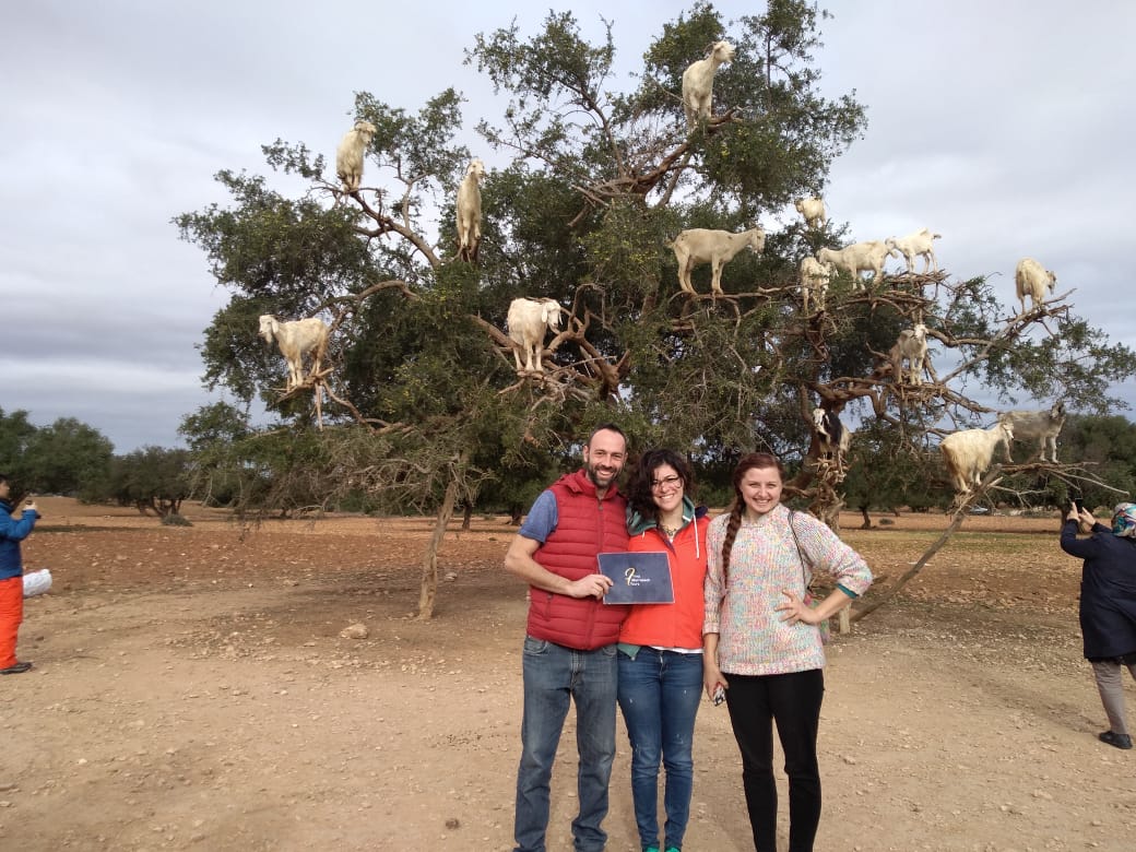 FirstMarrakechT's tweet image. Happy time with #FirstMarrakechTours driver Anass 😎
With our lovely travelers 🙃
On a day trip from #Marrakech to #Essaouira
Selfie in Goats Trees  🤩
#letstravel #explore #daytrip #Beach #Essaouira_day_trip #Marrakechdaytrips #travel #world
contact@first-marrakech-tours.com