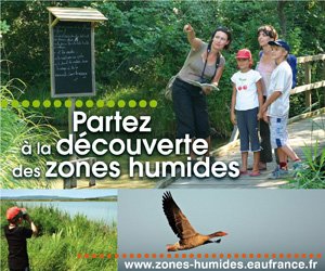C'est la journée mondiale des #zoneshumides ! Partez à leur découverte pour comprendre comment elles jouent un rôle fondamental dans la régulation de la ressource en #eau, l’épuration et la prévention des #crues.