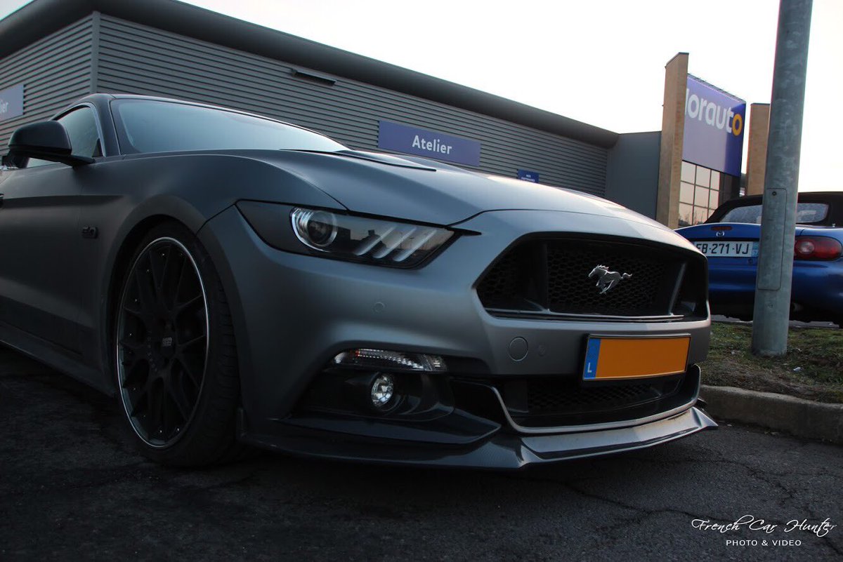 FrenchCarHunter's tweet photo. Very nervous horse 🖤 #mustang #Mustang @itsMustangPorn @dailymustangs @Mustang_Porn https://t.co/FvUO9rlGUh