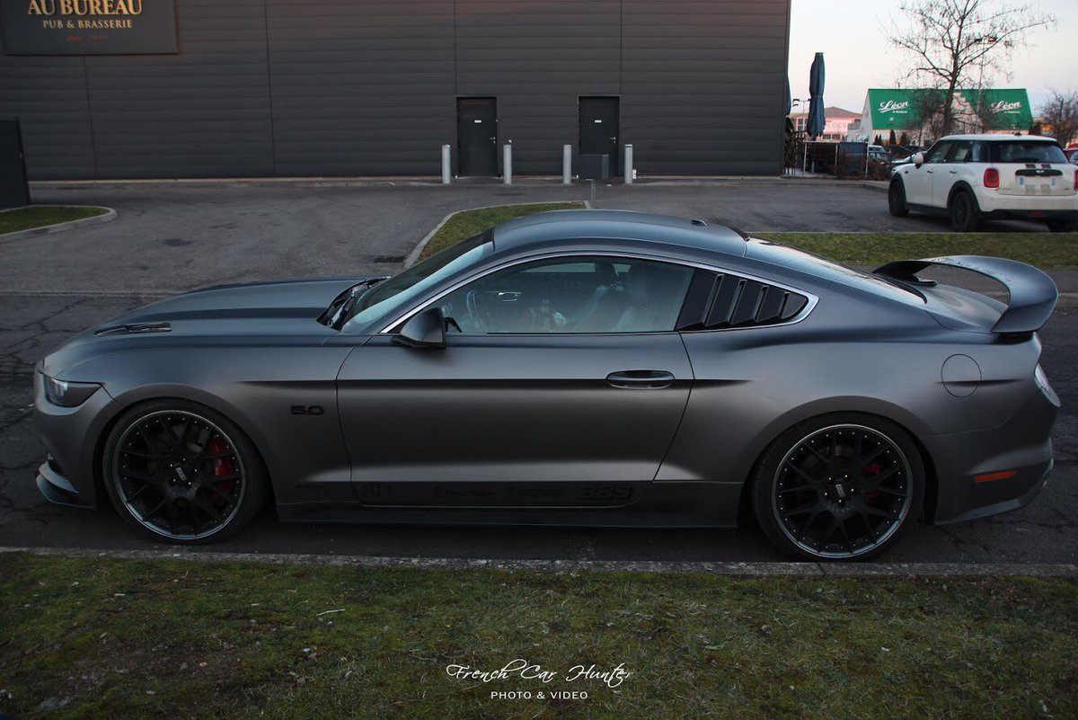 FrenchCarHunter's tweet photo. Very nervous horse 🖤 #mustang #Mustang @itsMustangPorn @dailymustangs @Mustang_Porn https://t.co/FvUO9rlGUh