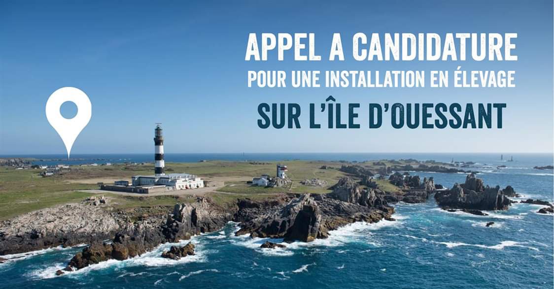 📂 Ouessant lance un appel à candidatures afin de répondre à l attente des habitants qui est de pouvoir consommer des produits laitiers locaux 🥛

Date limite de candidature : 31 mai 2019
Renseignements : mairie.eusa@wanadoo.fr