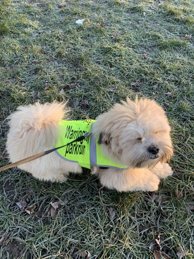 Warrington parkrun tweet media