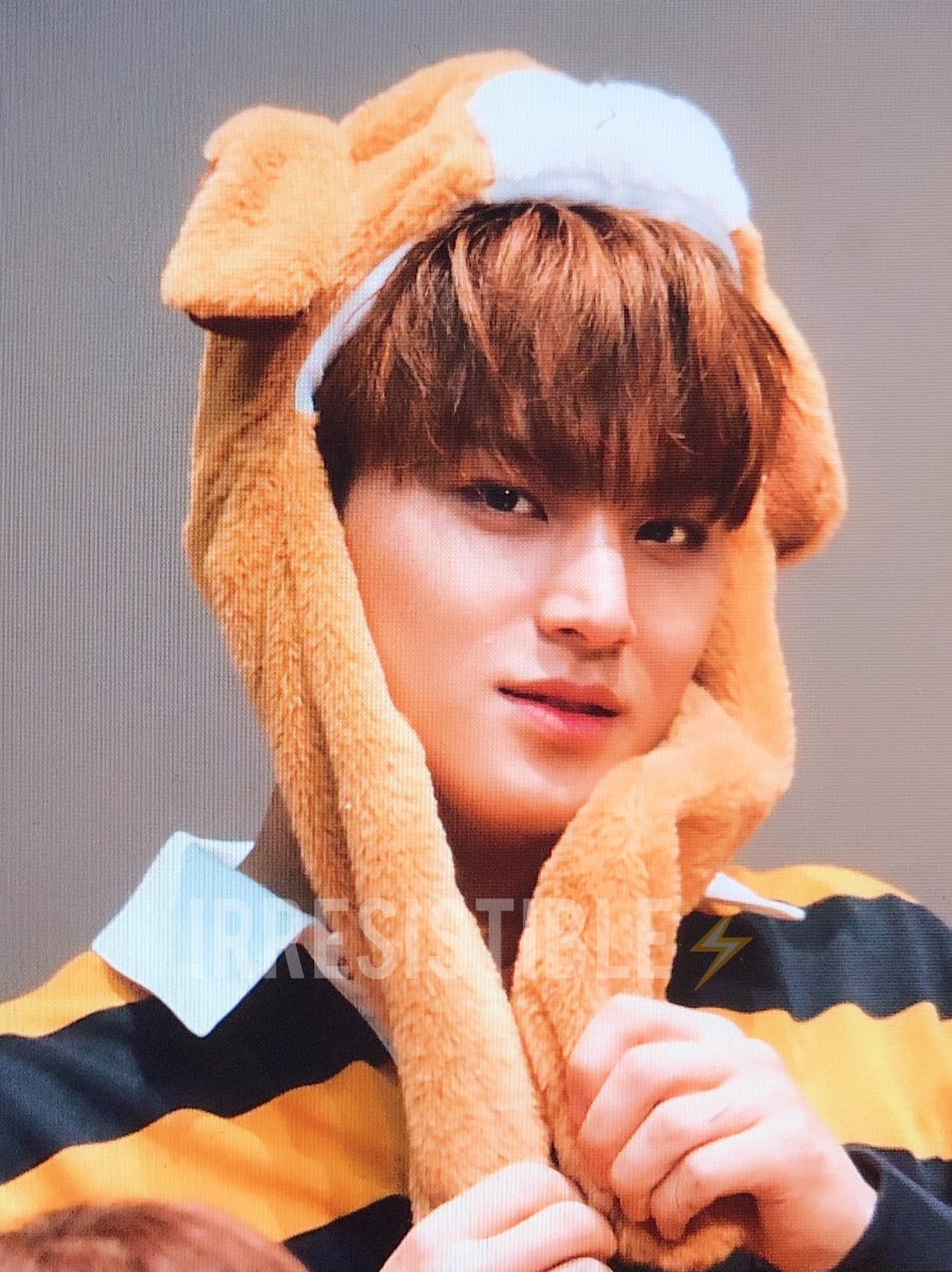 irresistible_MG's tweet photo. 190202 팬사인회 
#민규 #MINGYU 
#세븐틴⁠ ⁠ #SEVENTEEN⁠ ⁠

❤️🐶❤️🐶❤️🐶❤️🐶 https://t.co/OlCBVaO4o1