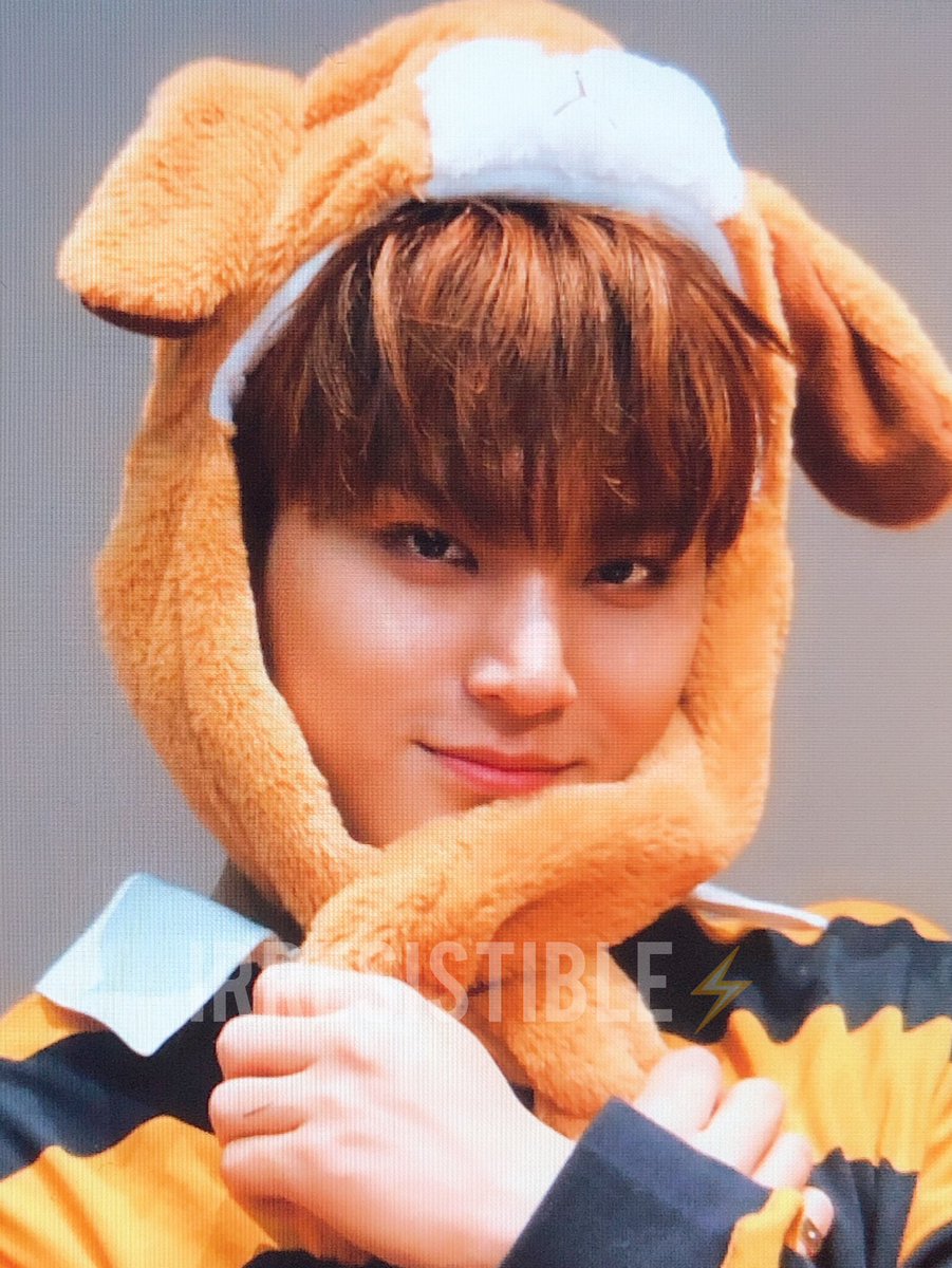 irresistible_MG's tweet photo. 190202 팬사인회 
#민규 #MINGYU 
#세븐틴⁠ ⁠ #SEVENTEEN⁠ ⁠

❤️🐶❤️🐶❤️🐶❤️🐶 https://t.co/OlCBVaO4o1