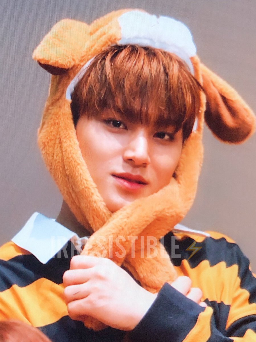 irresistible_MG's tweet photo. 190202 팬사인회 
#민규 #MINGYU 
#세븐틴⁠ ⁠ #SEVENTEEN⁠ ⁠

❤️🐶❤️🐶❤️🐶❤️🐶 https://t.co/OlCBVaO4o1