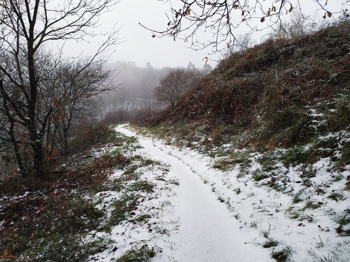OviMeteo's tweet photo. @cielodeAsturias @AEMET_Asturias @AEMET_Esp @AEMET_SINOBAS @eltiempotpa @LaMeteoAstur @RAM_meteo @javioru Así lucía el Naranco a esta mañana https://t.co/ClHJt9VQGq