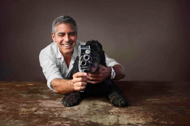 ¿#SabíasQue George Clooney y su mujer Amal donaron 10.000 dólares para salvar a 9 #bichos abandonados? Este famoso actor tiene un amor muy grande por los perros y además, promueve la adopción.
Y tú, ¿ayudas a protectoras? ¡Cuéntanos tus acciones más solidarias que hayas hecho! 🐶