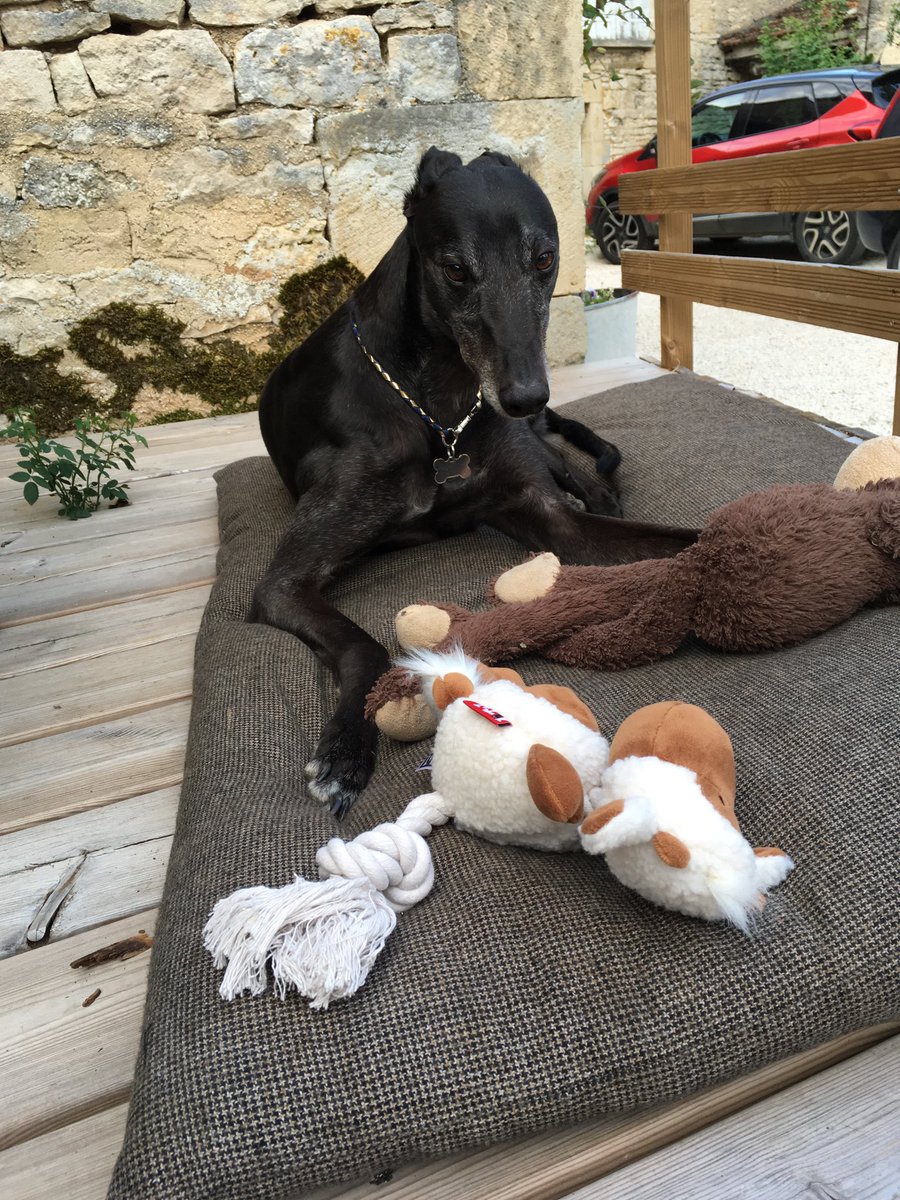 Dawn8rown's tweet photo. Happy 7th birthday to this gorgeous boy Ollie, love him do much 🎈🎉🎁🎂❤️❤️ https://t.co/YNGEEnvAGi