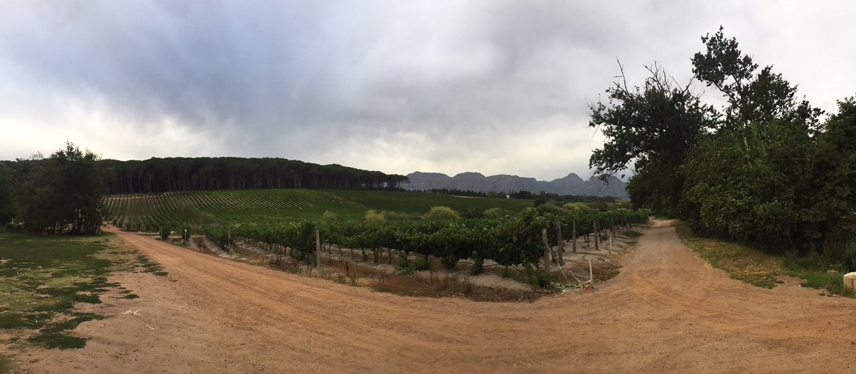 A beautiful morning with some lovely cool conditions - perfect for parkrunning! Where did your barcode take you today? #loveparkrun #lovevolunteers #happyparkrunning