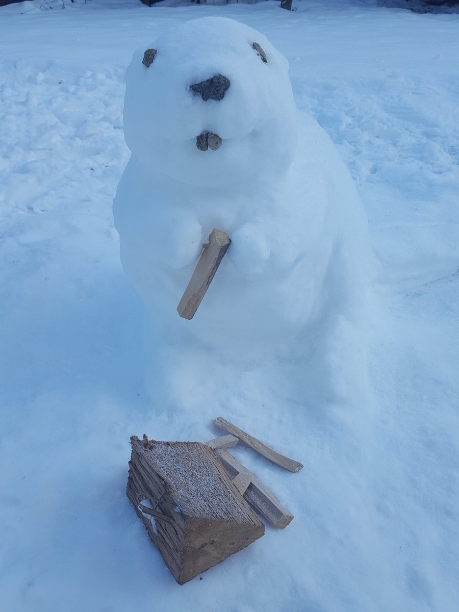 With ☃️ weather we are celebrating #WorldWetlandsDay with a snow #beaver made by one of our team! These large, native, semi-aquatic rodents  eat plants & help maintain healthy rivers. They were extinct here but conservation efforts are bringing them back #keepwetlands #snowanimal