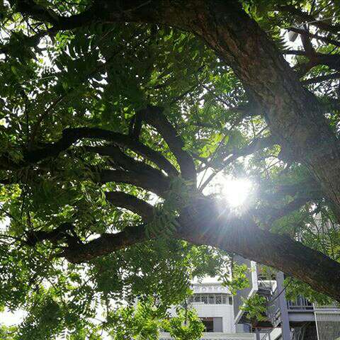 diola_judith's tweet photo. https://t.co/7HyXwzdjKg