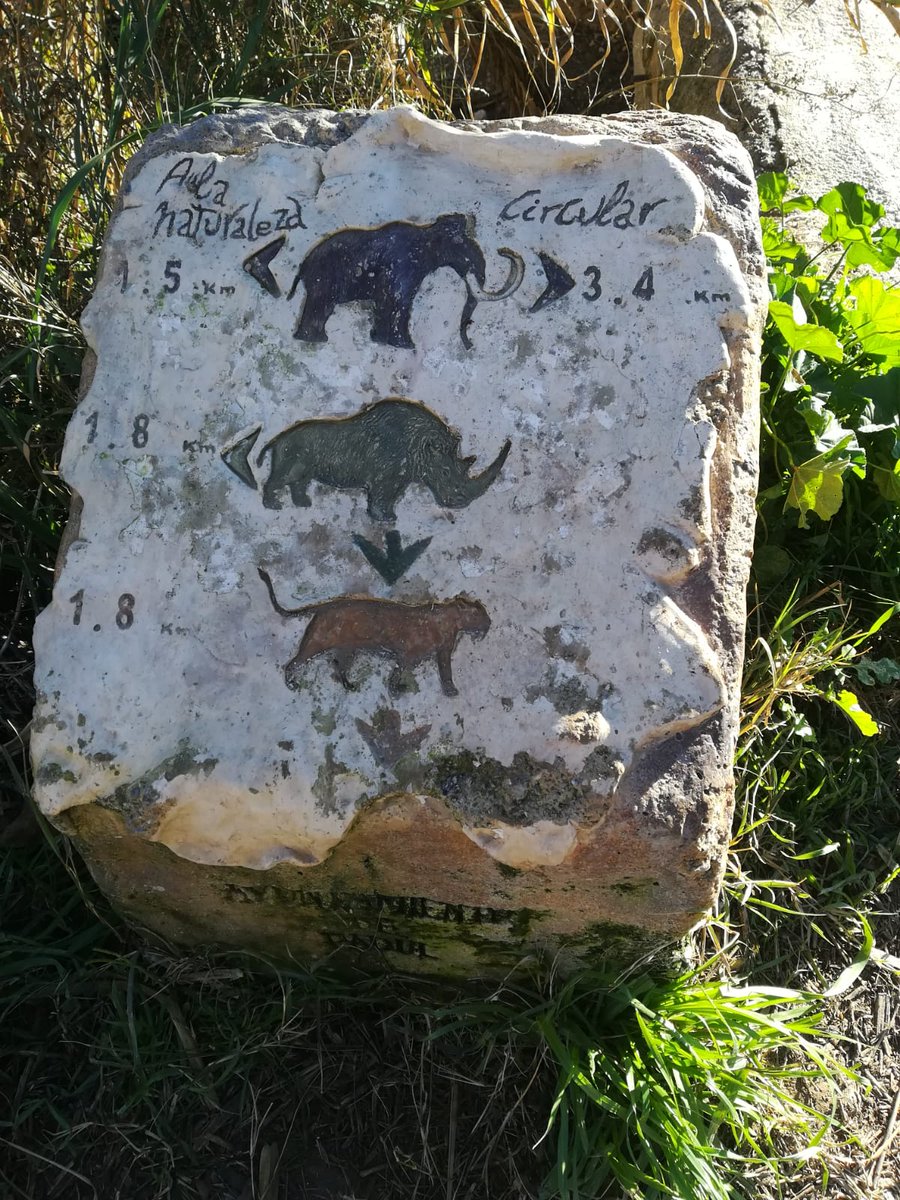 #FelizSábado Hoy es el #DiaMundialDeLosHumedales 😍 aquí va mi favorito en #Granada #Padul 👇 Tenemos que protegerlo, podría estar en peligro. Mira <a href="/dinoalastorres/">Di No A Las Torres</a>