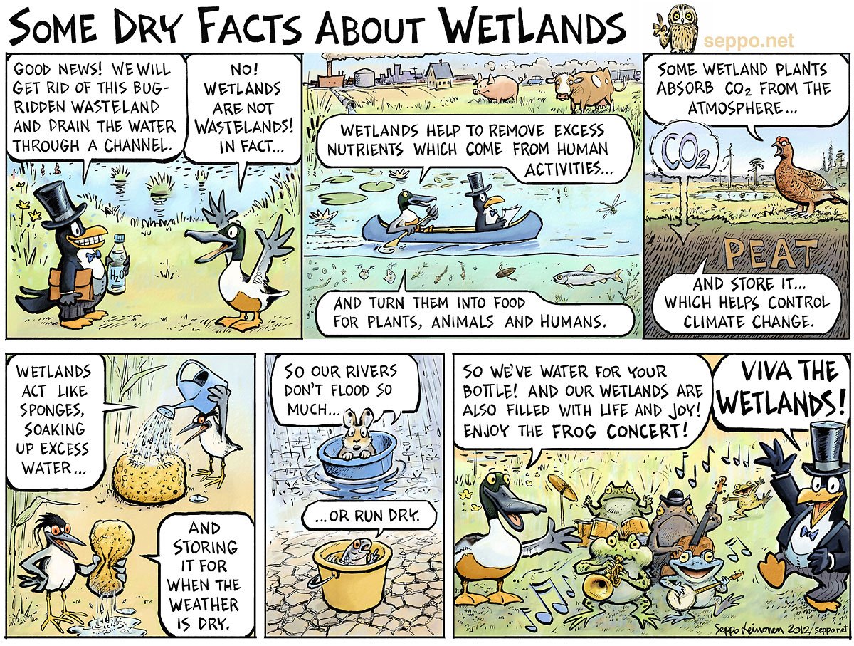 Wetlands store carbon, purify water, provide food and essential habitat for wildlife.
Sign the petition & tell the European Commission to keep our water law strong!
eeb.org/protect-water/ 
#WorldWetlandsDay #ProtectWater #KeepWetlands