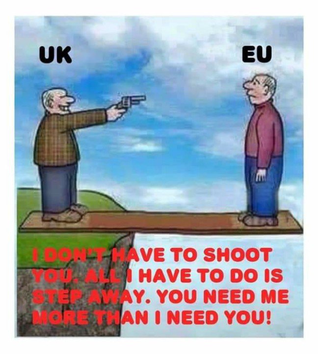 SouthCoastBees's tweet photo. #Brexit https://t.co/t67y4pJ6Py