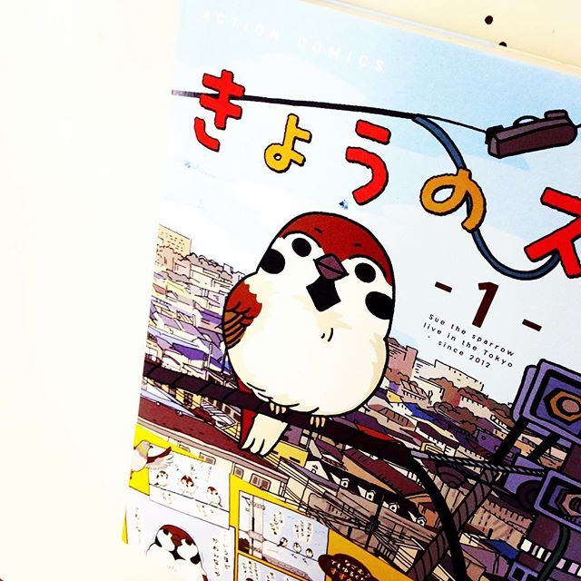 きょうのスー きょうのスー