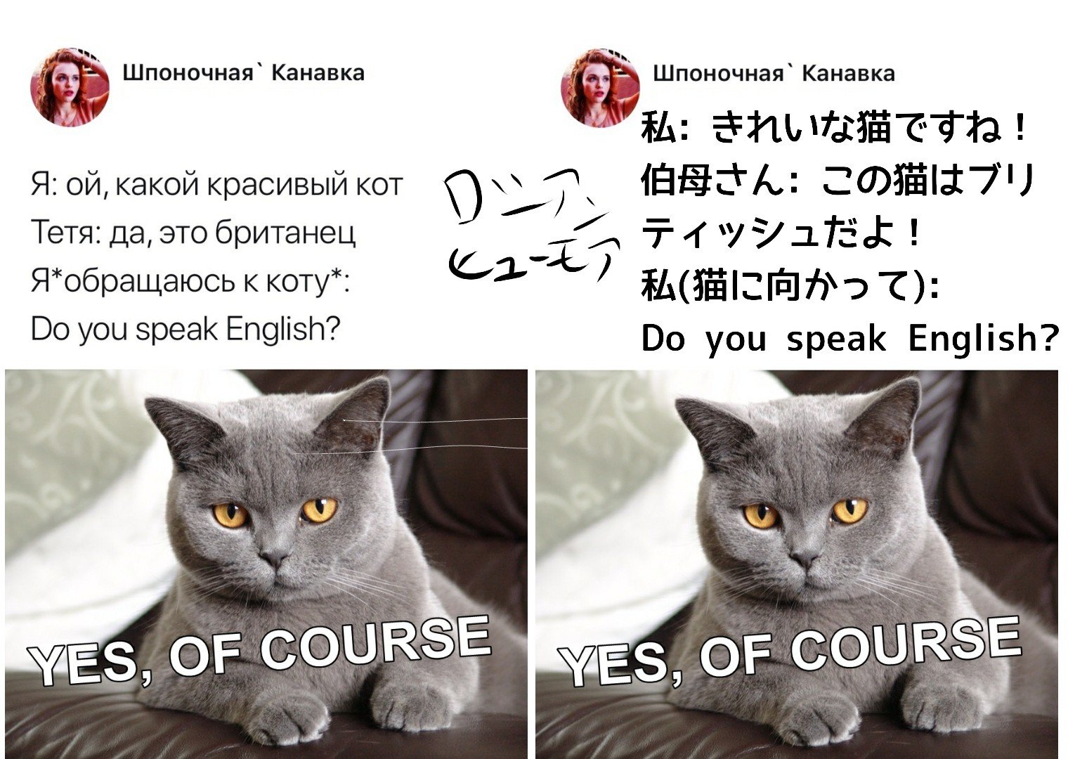 ロシアンヒューモア Humor Awesome Twitter