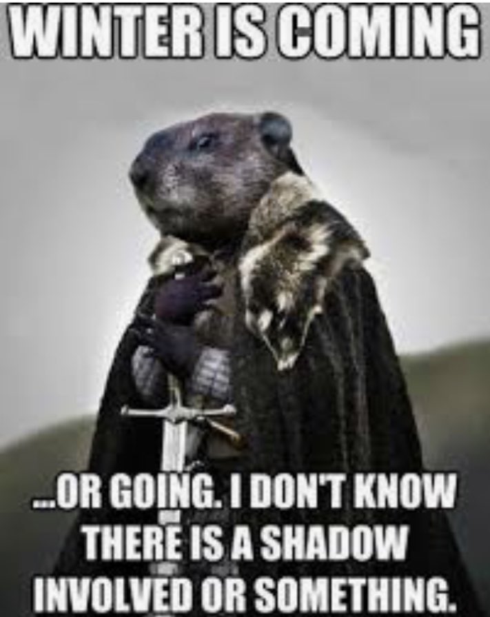Loribo's tweet photo. https://t.co/SUjdcwnaQa